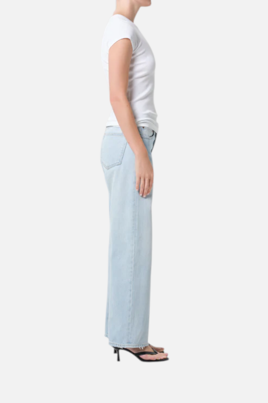 AGOLDE Low Rise Loose Jean in Amplify – back view