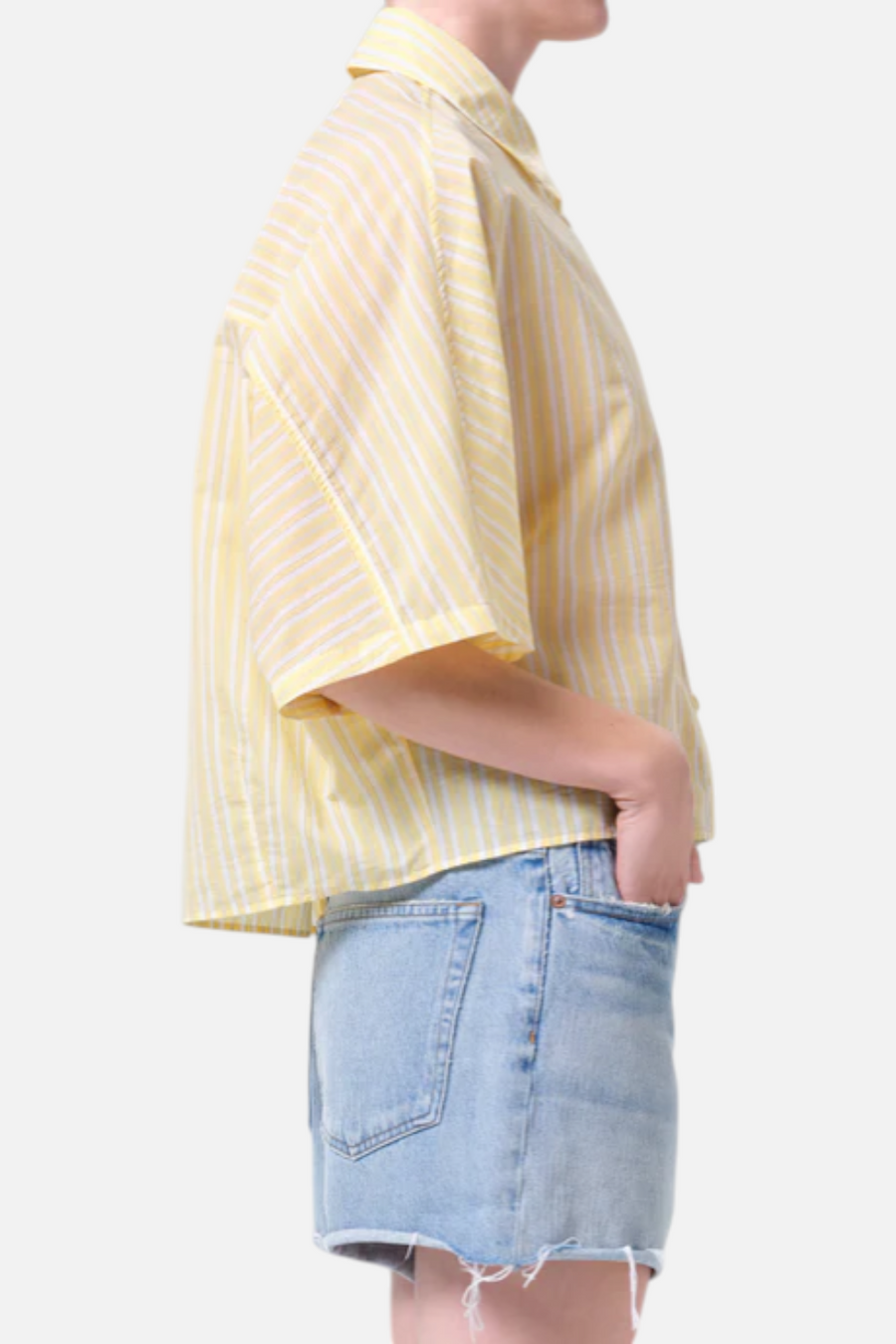Agolde Merrin Shirt in Wirrel Stripe Lemon Drop – back view