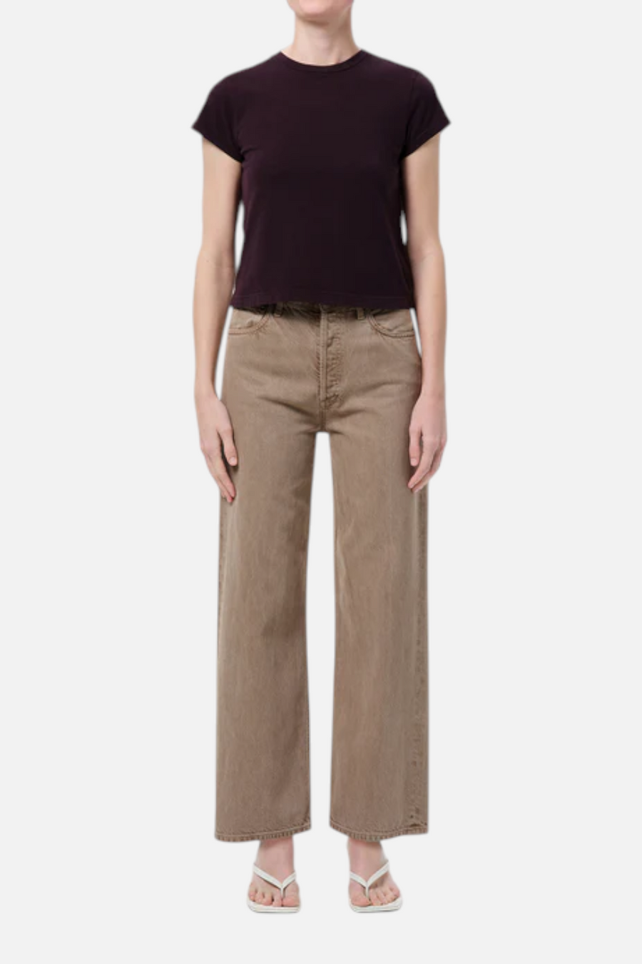Agolde Ren High-Rise Wide Leg Jean in Trail Medium Grey Brown – front view