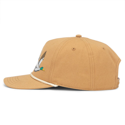 American Needle Coors Canvas Cappy in Wheat – back view