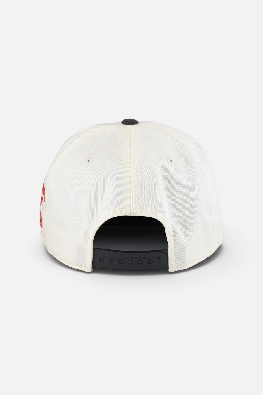American Needle Roscoe Twill Hat- Liquid Death – back view