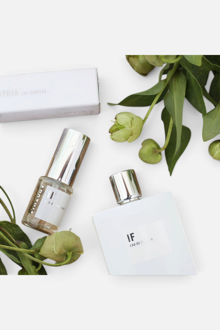 Apothia IF | Blooming White Flowers x Citrus | Eau De Parfum – side view