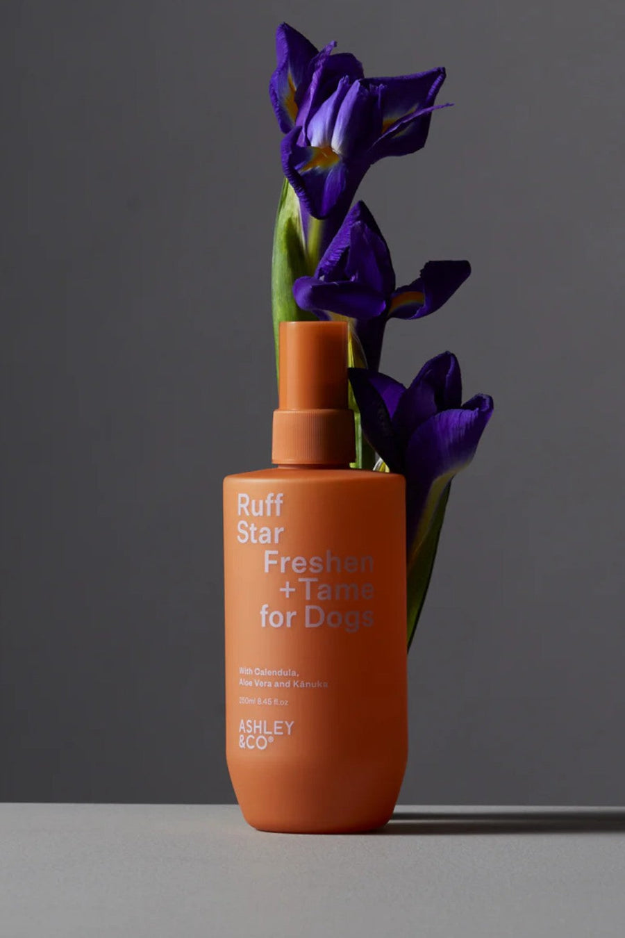 Ashley & Co. Ruff Star - Freshen & Tame for Dogs – flat lay