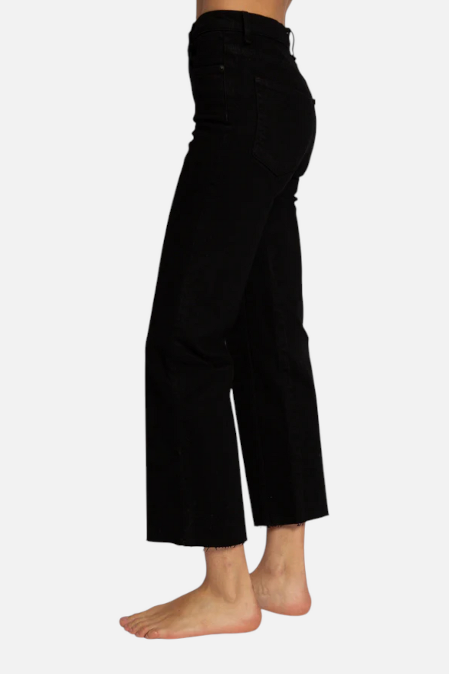 ASKK NY Crop Wide Leg Jean in Black Resin – back view