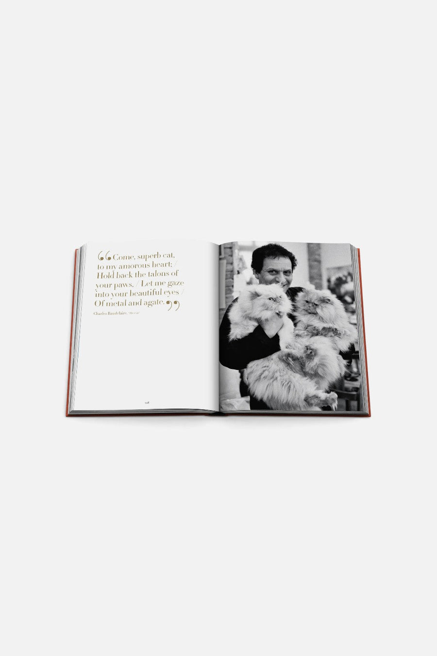 Assouline Chic Cats Coffee Table Book – alternate