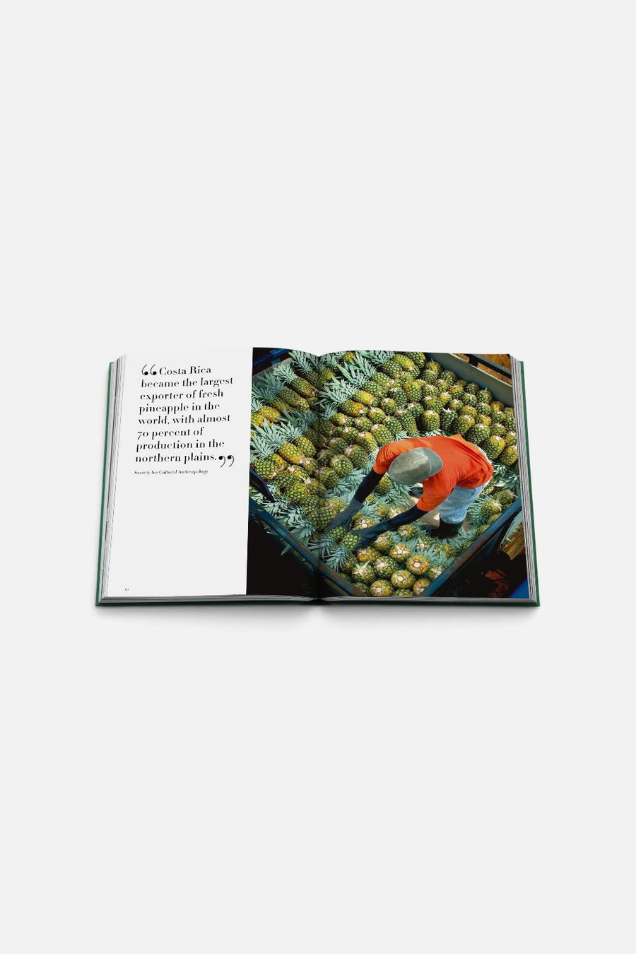 Assouline Costa Rica Vida Book – alternate