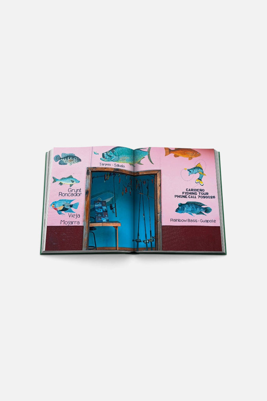 Assouline Costa Rica Vida Book – alternate