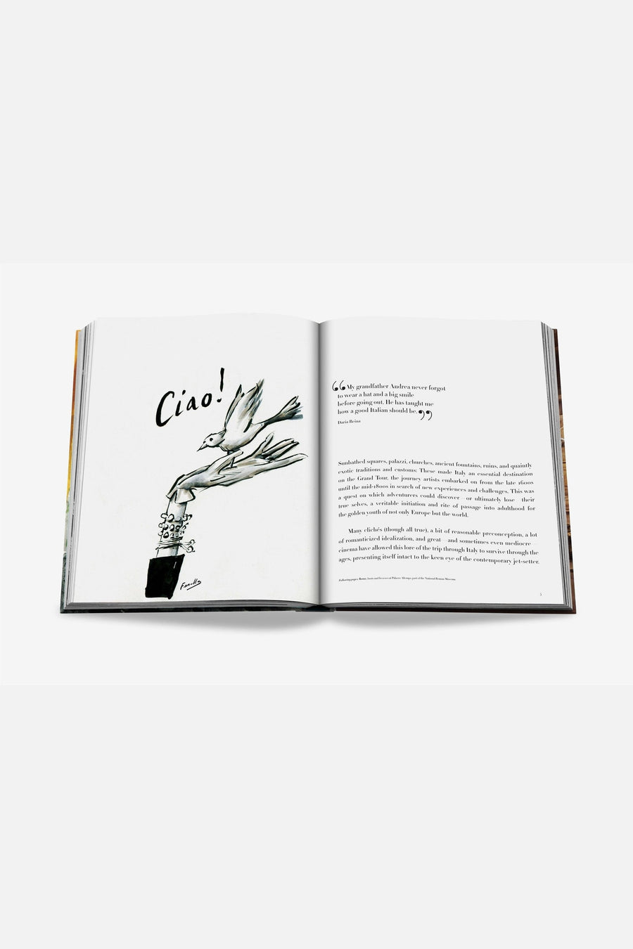 Assouline The Classics Collection - Italian Chic – detail