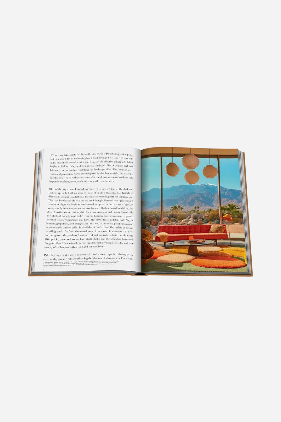 Assouline The Classics Collection: Palm Springs – detail