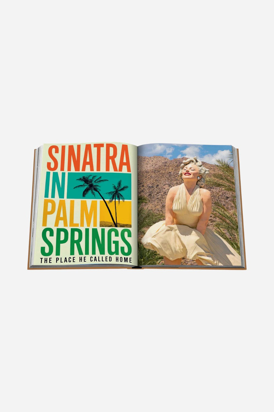 Assouline The Classics Collection: Palm Springs – flat lay