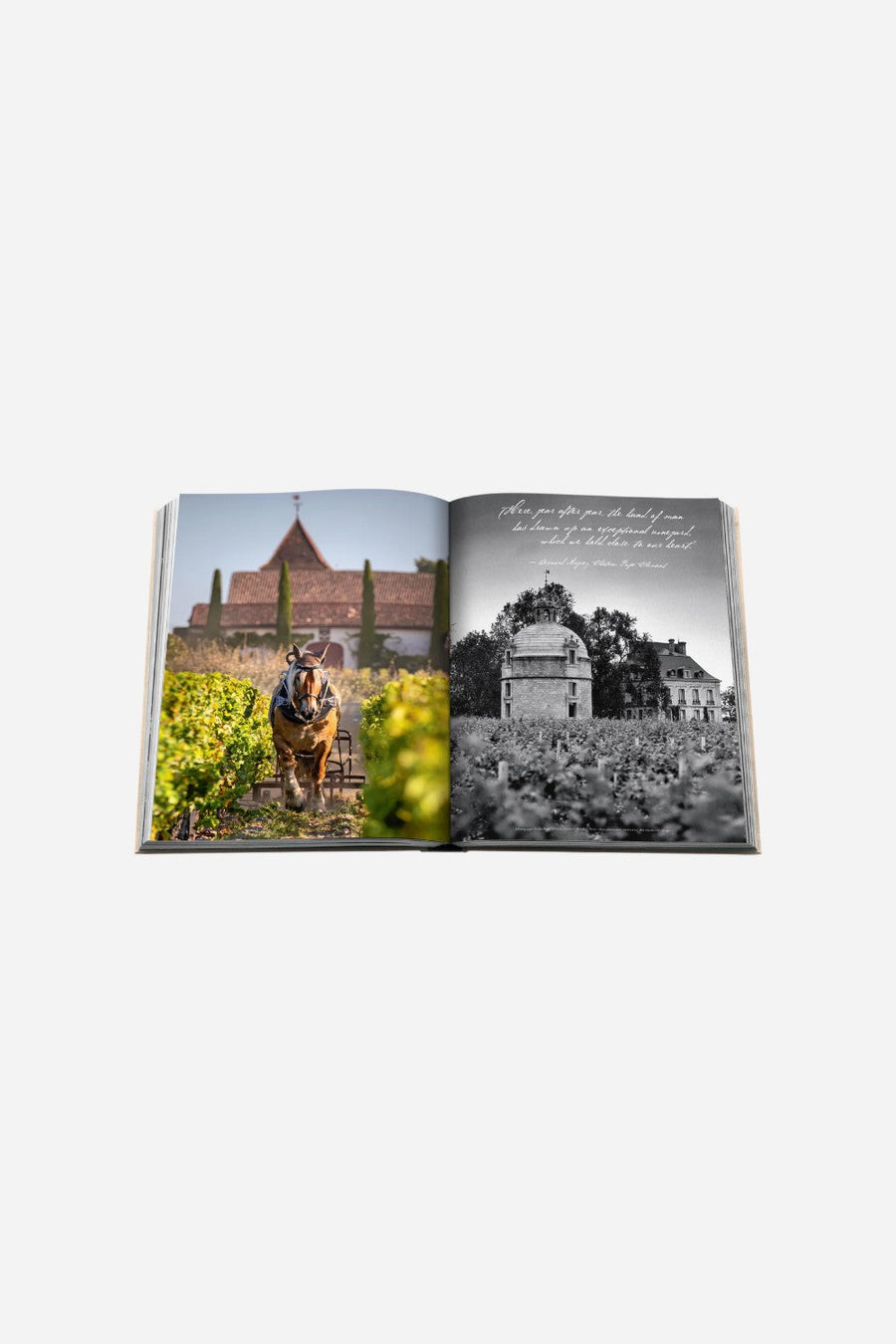 Assouline The Classics Collection: Wine & Travel France – alternate