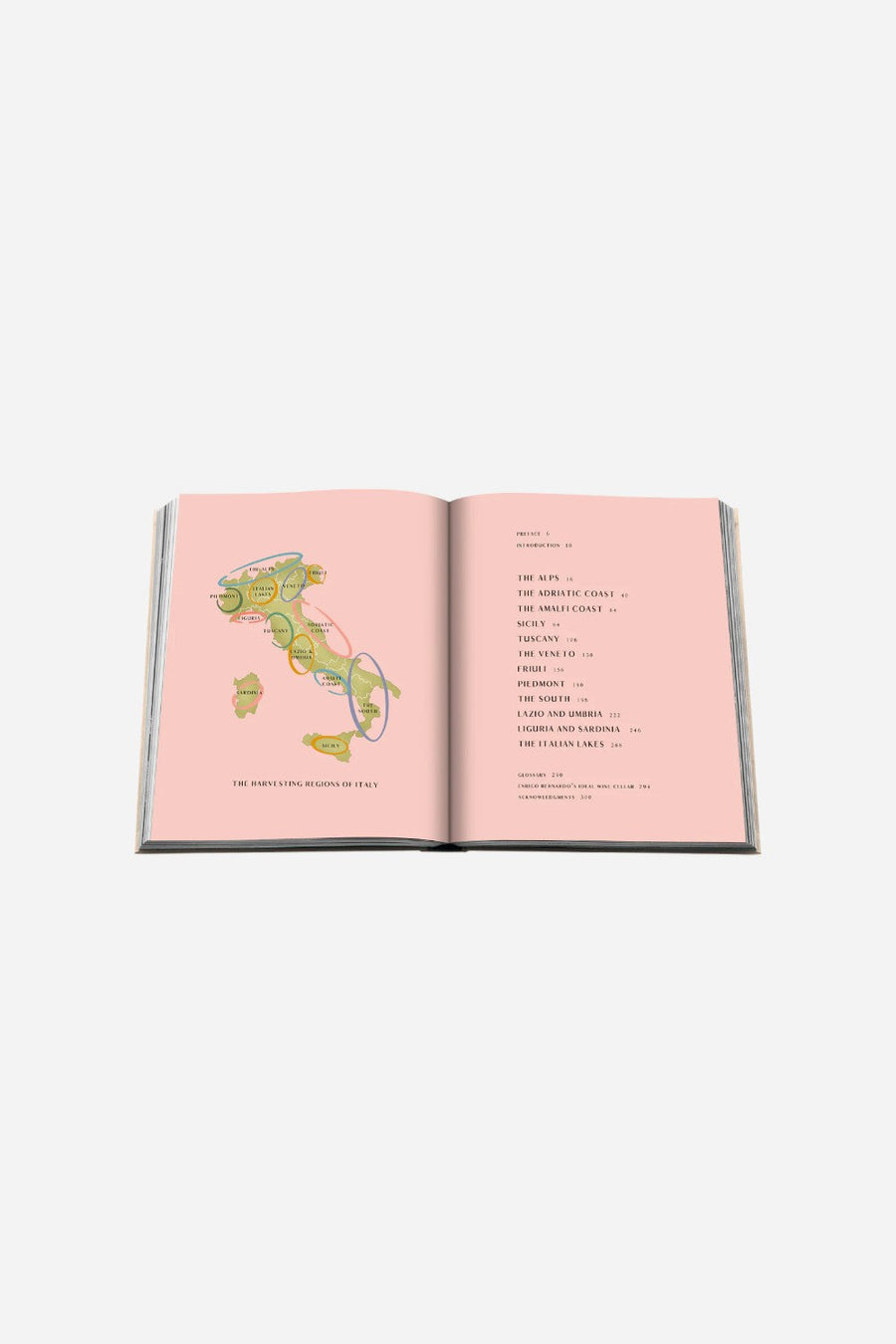 Assouline The Classics Collection: Wine & Travel Italy – detail