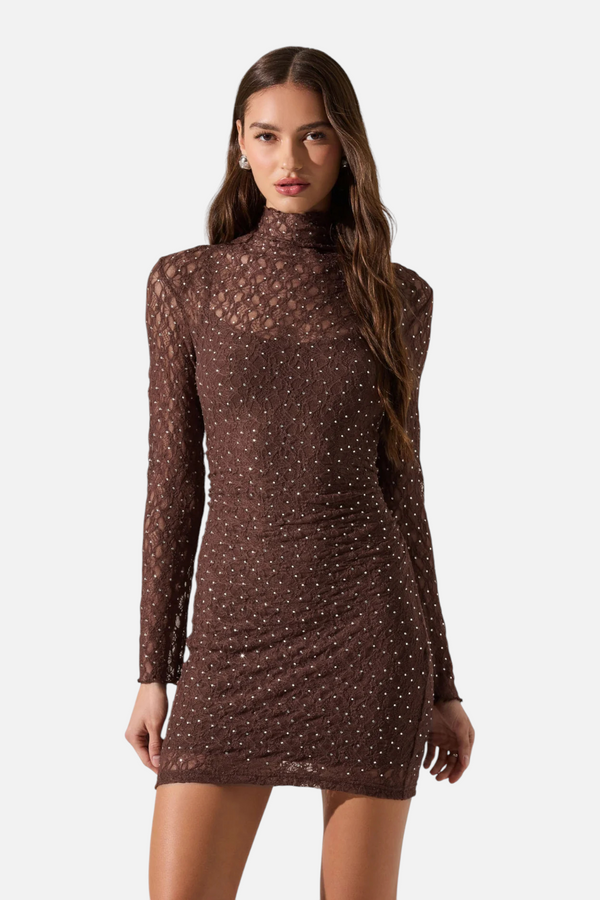 Astr the Label Kourtney Rhinestone Lace Mini Dress in Brown