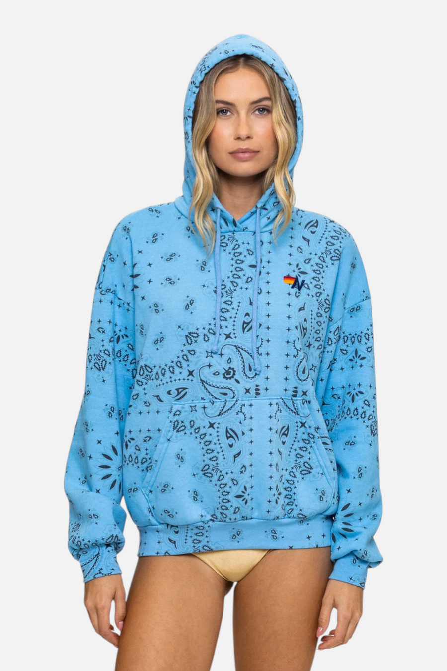 Aviator Nation Bandana Pullover Hoodie in Relax Sky – back view