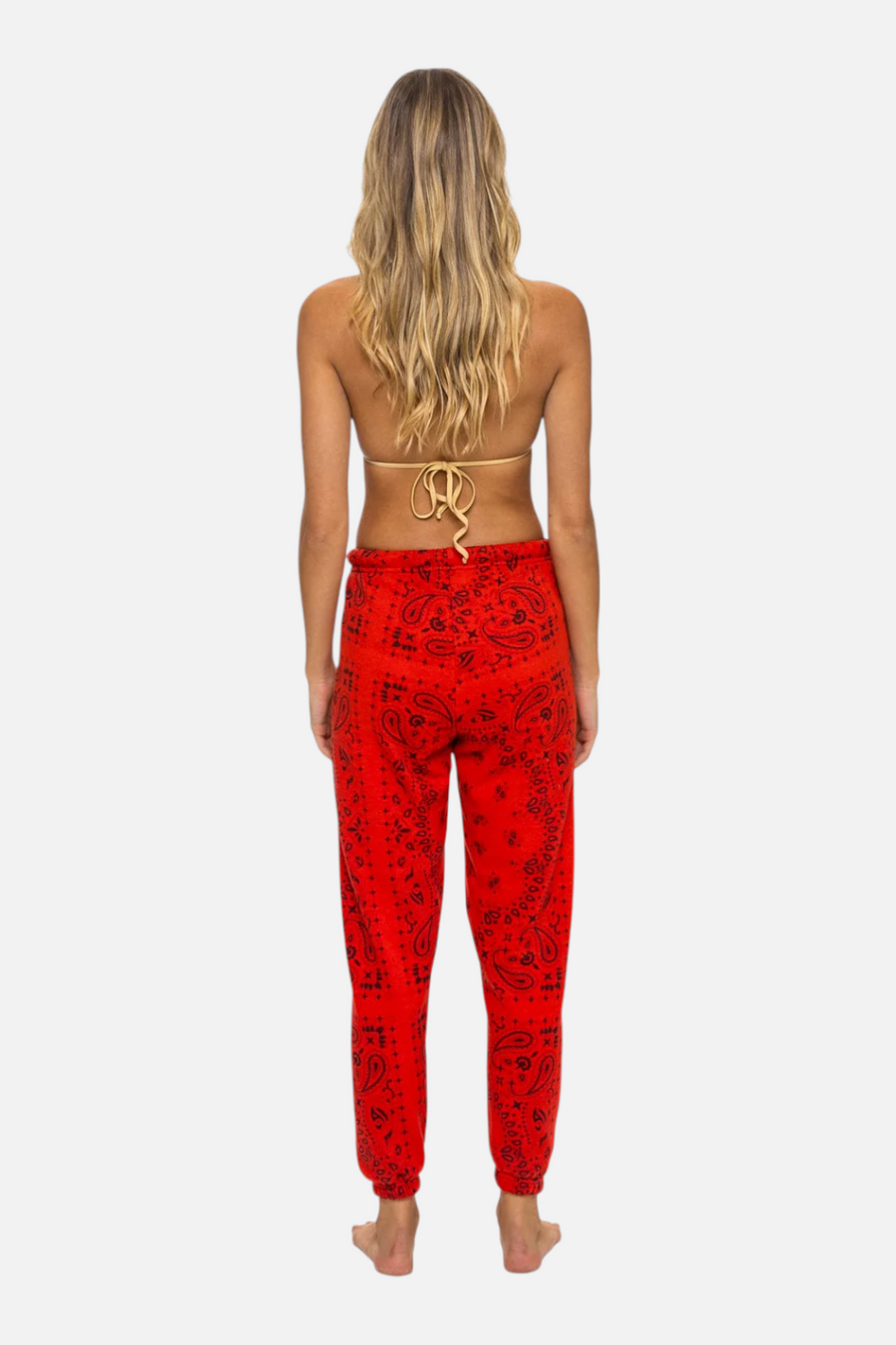 Aviator Nation Bandana Sweatpant in Relax Red – back view