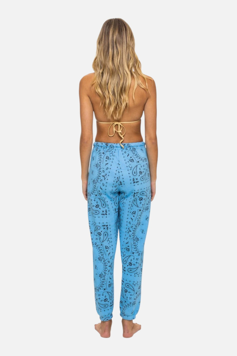Aviator Nation Bandana Sweatpant in Sky – on model