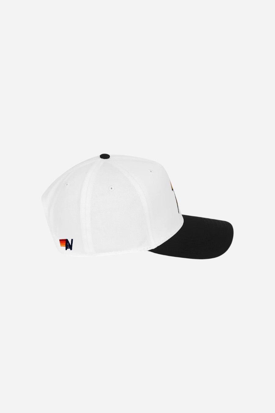 Aviator Nation Bolt Vintage Low Rise Twill Hat in Black & White – back view