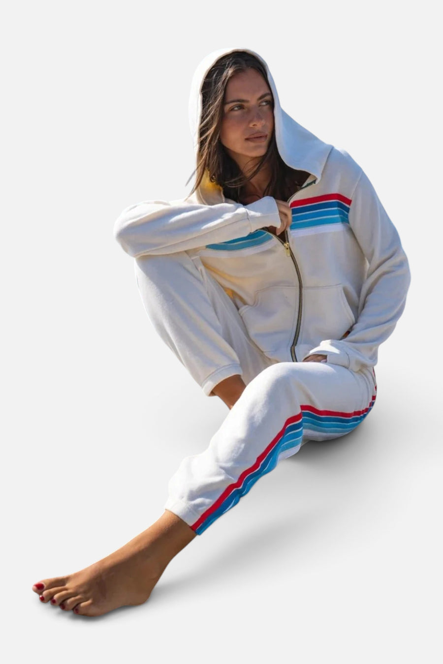 Aviator Nation Five Stripe America Zip Hoodie in USA Vintage Stripe – back view