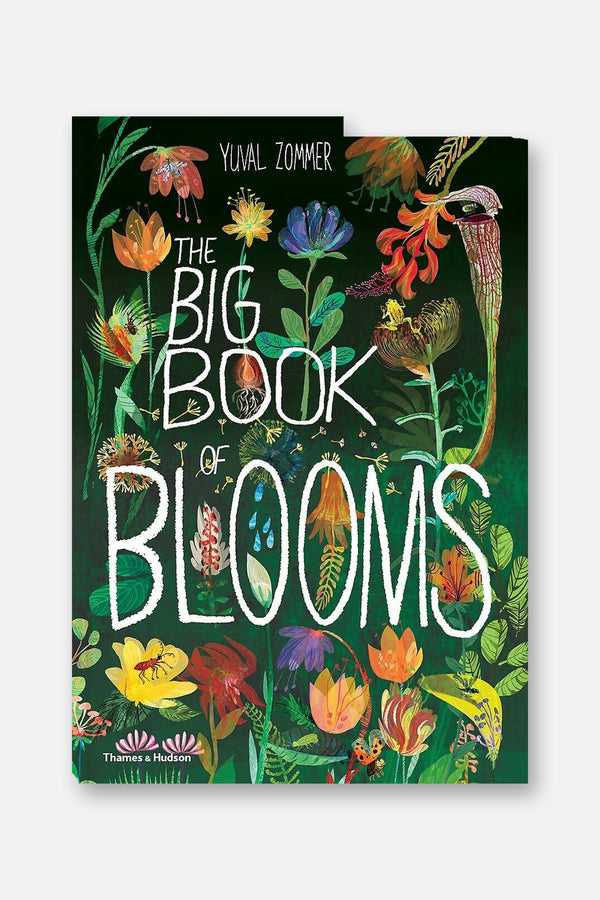 Big Book of Blooms (The Big Book Series)