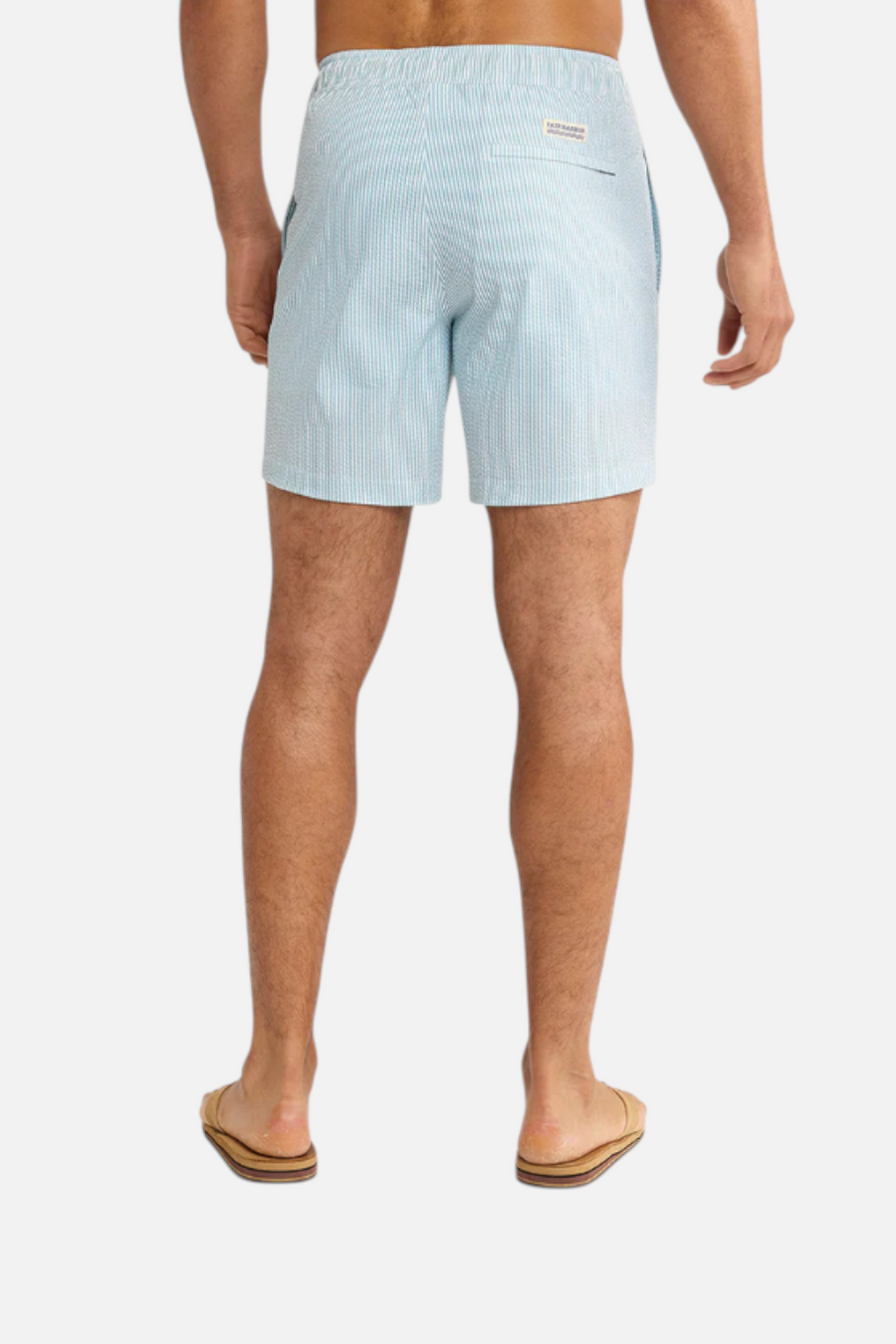 Fair Harbor Bayberry Trunk in Seapine – back view
