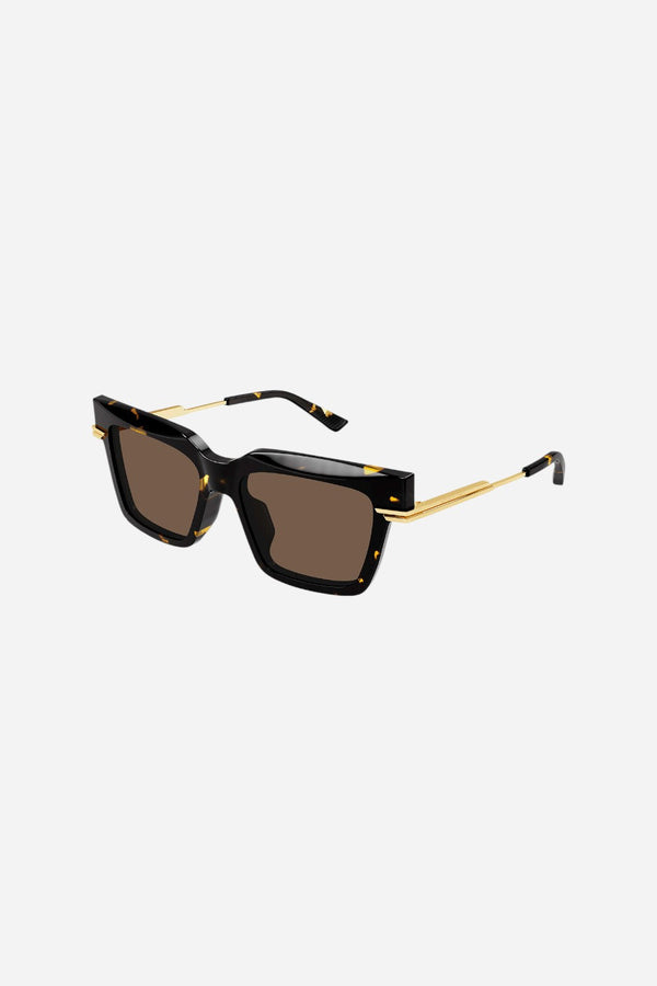 Bottega Veneta Havana/Gold Sunglasses with Brown Lenses
