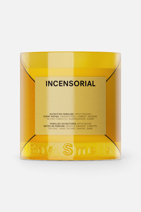 Boy Smells Incensorial Candle