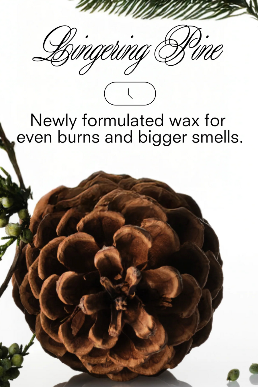 Boy Smells Xxmas Tree Holiday Magnum 27 oz Candle – side view