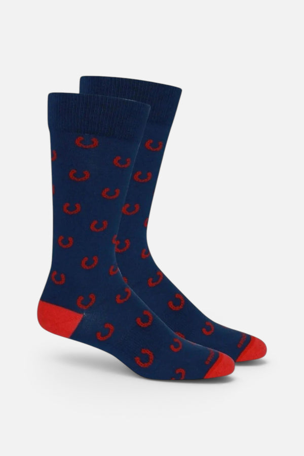 Brown Dog Socks Lucky In Blue