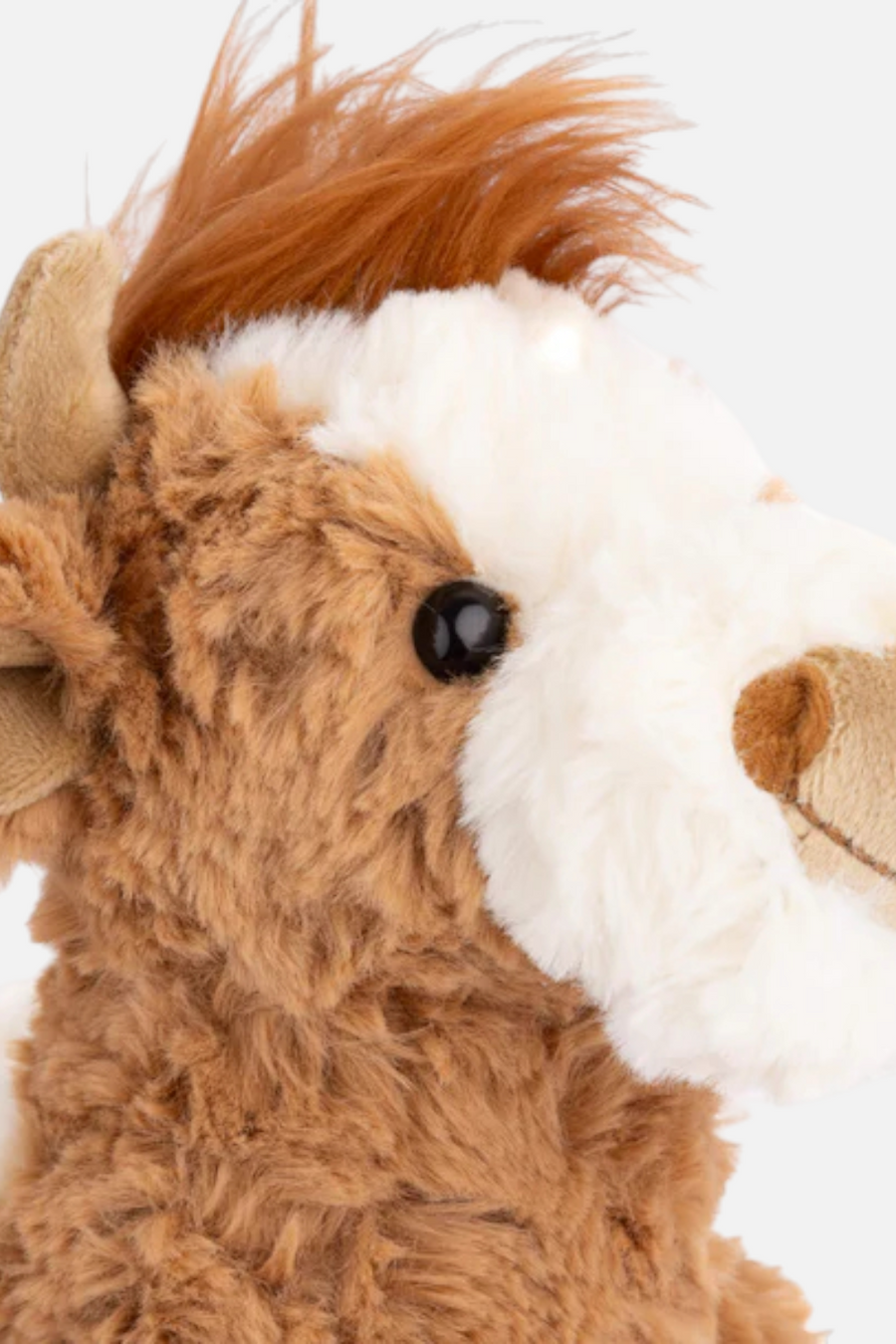 Bukowski Bears Madison Highland Cow – detail
