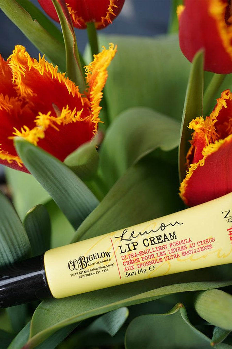 C.O. Bigelow Lemon Lip Cream - No. 1420 – back view