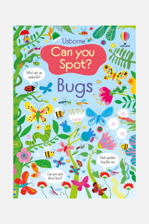 Can You Spot Bugs?