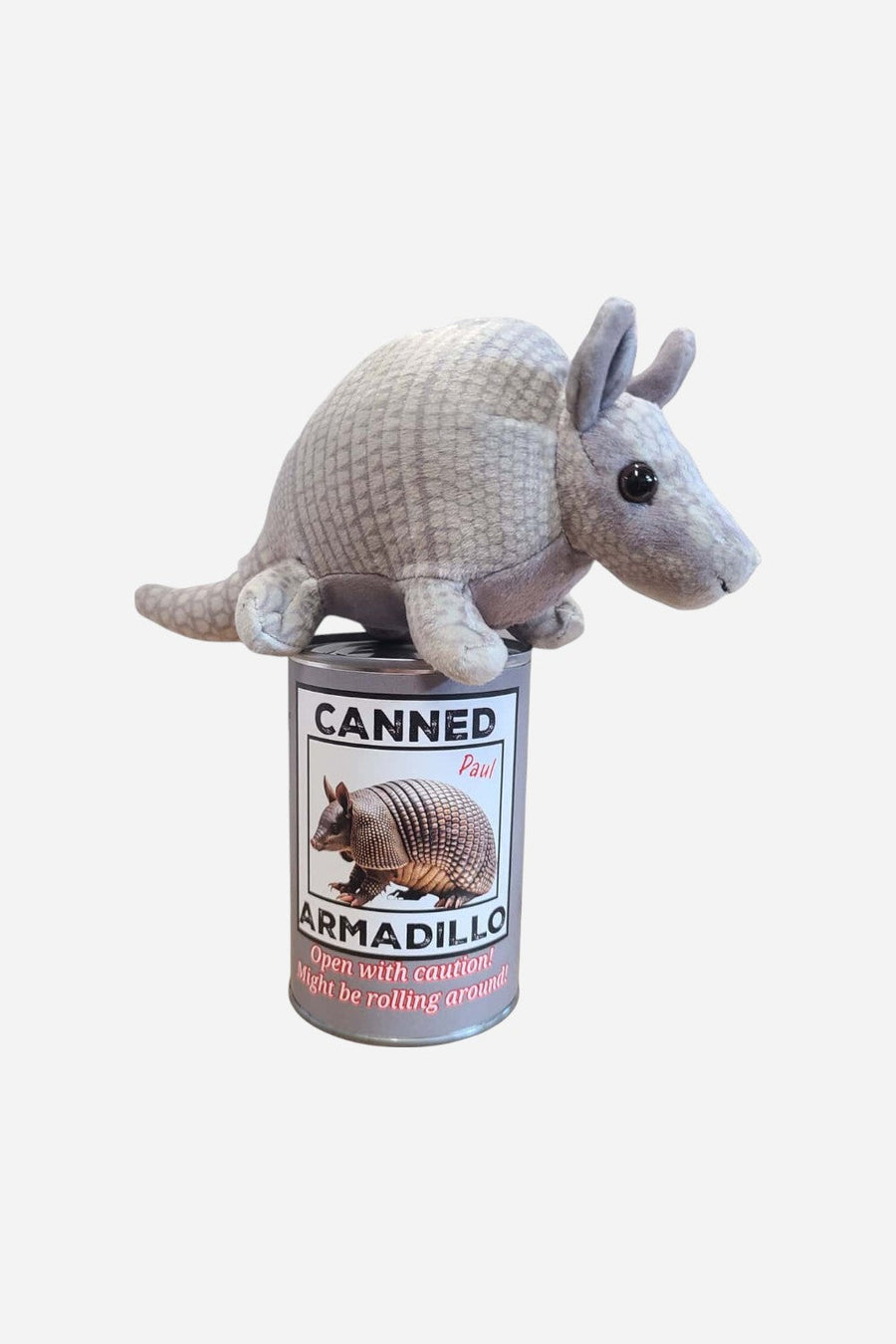Canned Armadillo – back view