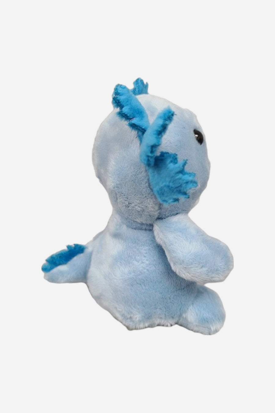 Canned Axolotl (Blue) – flat lay