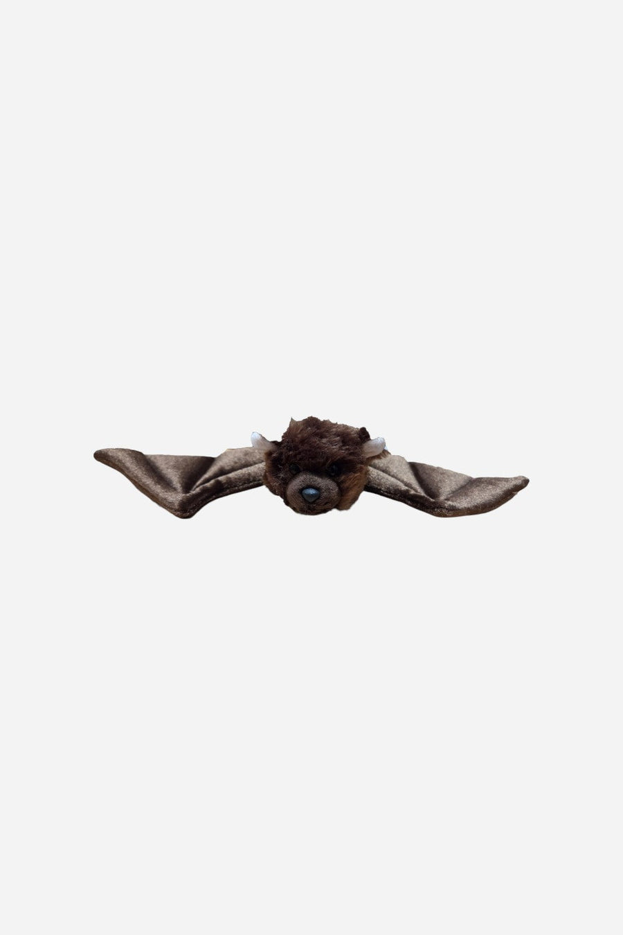 Canned Bat – flat lay