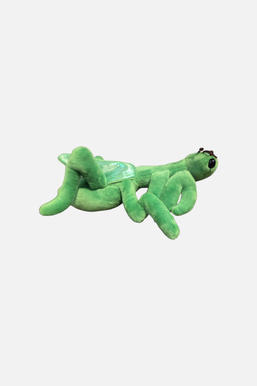 Canned Gifts Praying Mantis – back view