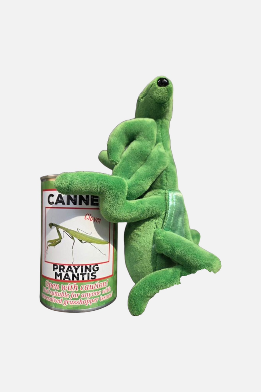 Canned Gifts Praying Mantis – detail