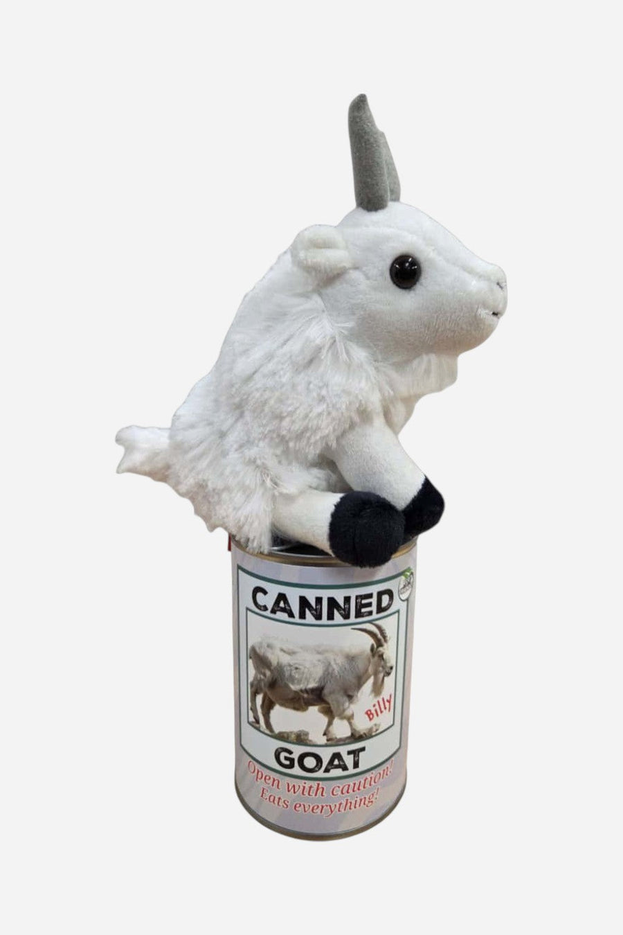 Canned Mountain Goat – flat lay