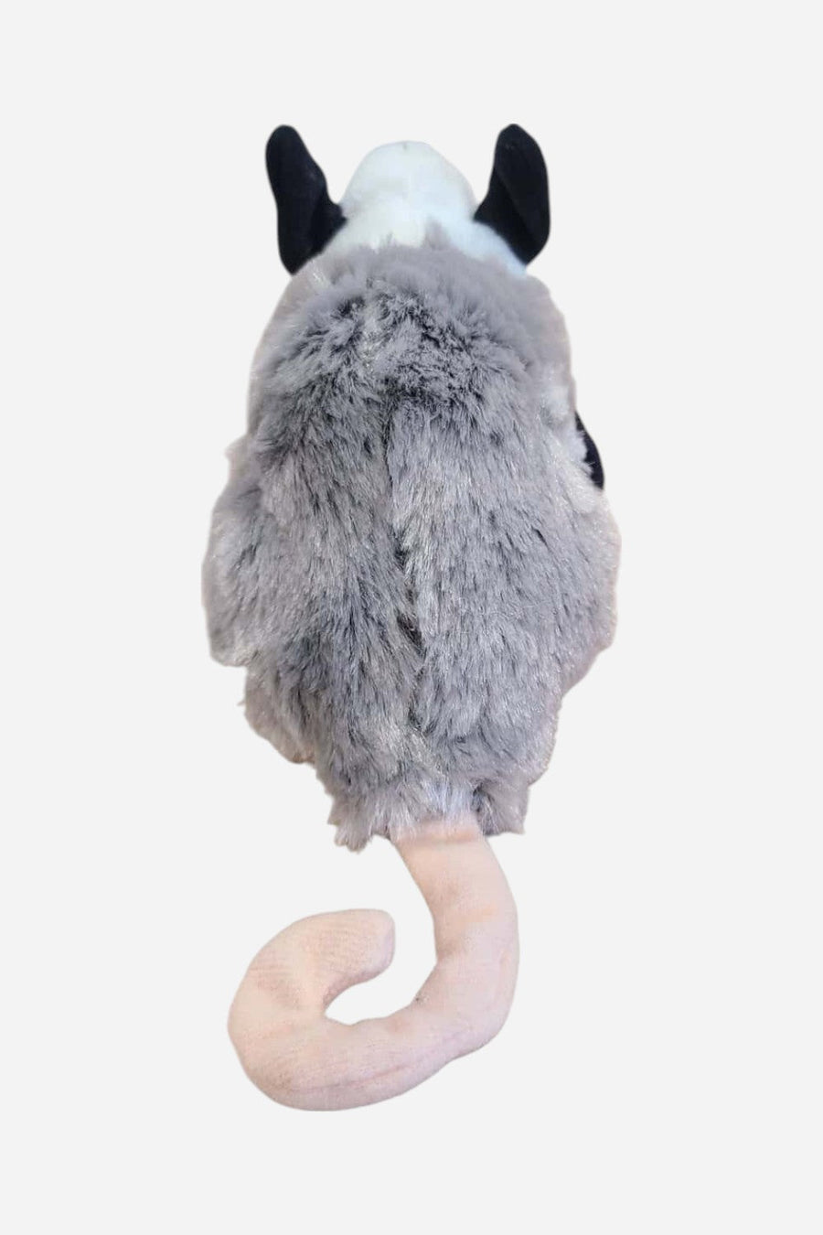 Canned Opossum – detail