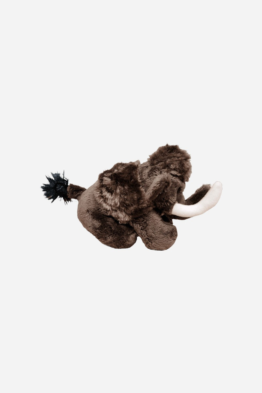 Canned Woolly Mammoth – detail