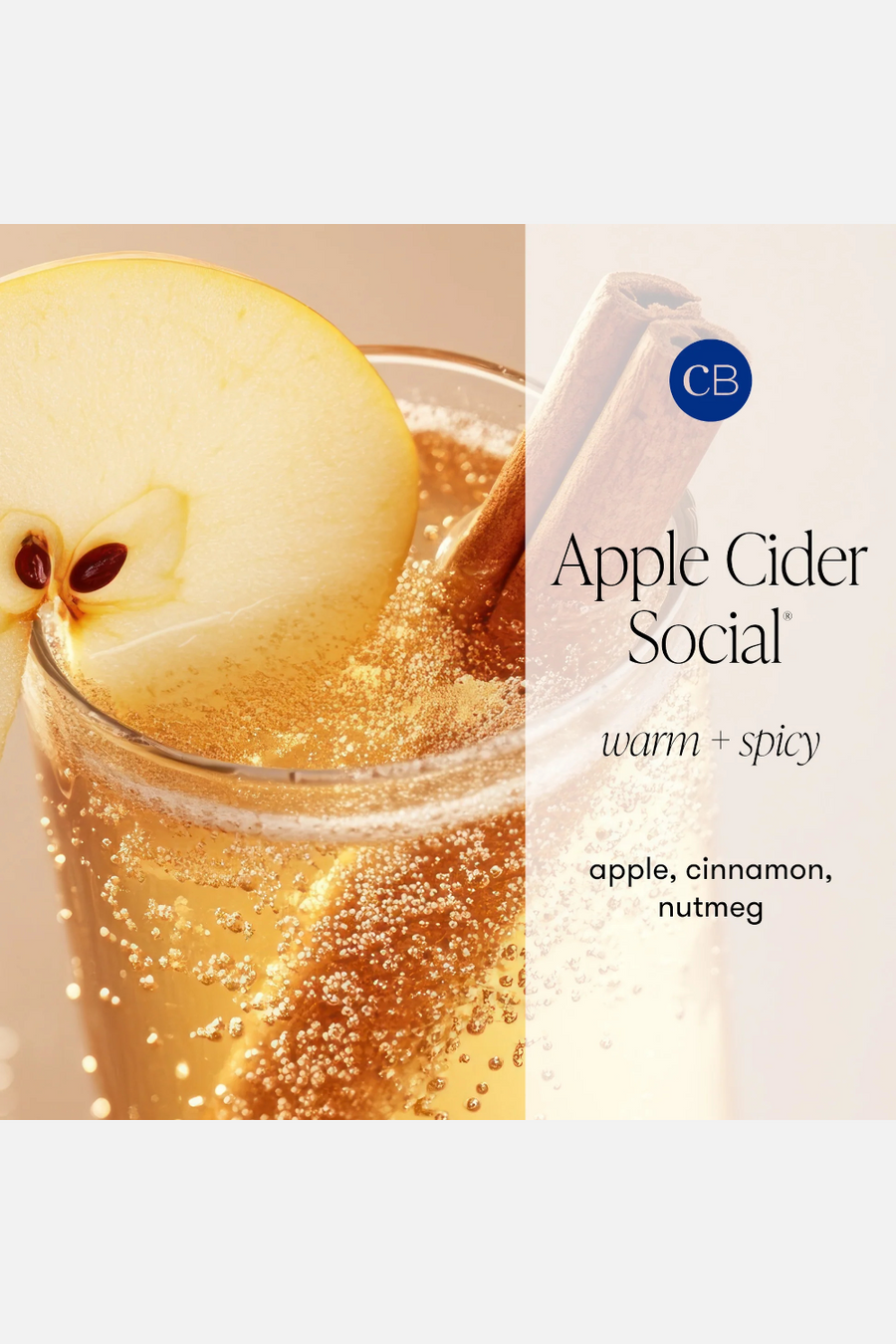 Capri Blue Apple Cider Social Glimmer Hand Wash – back view