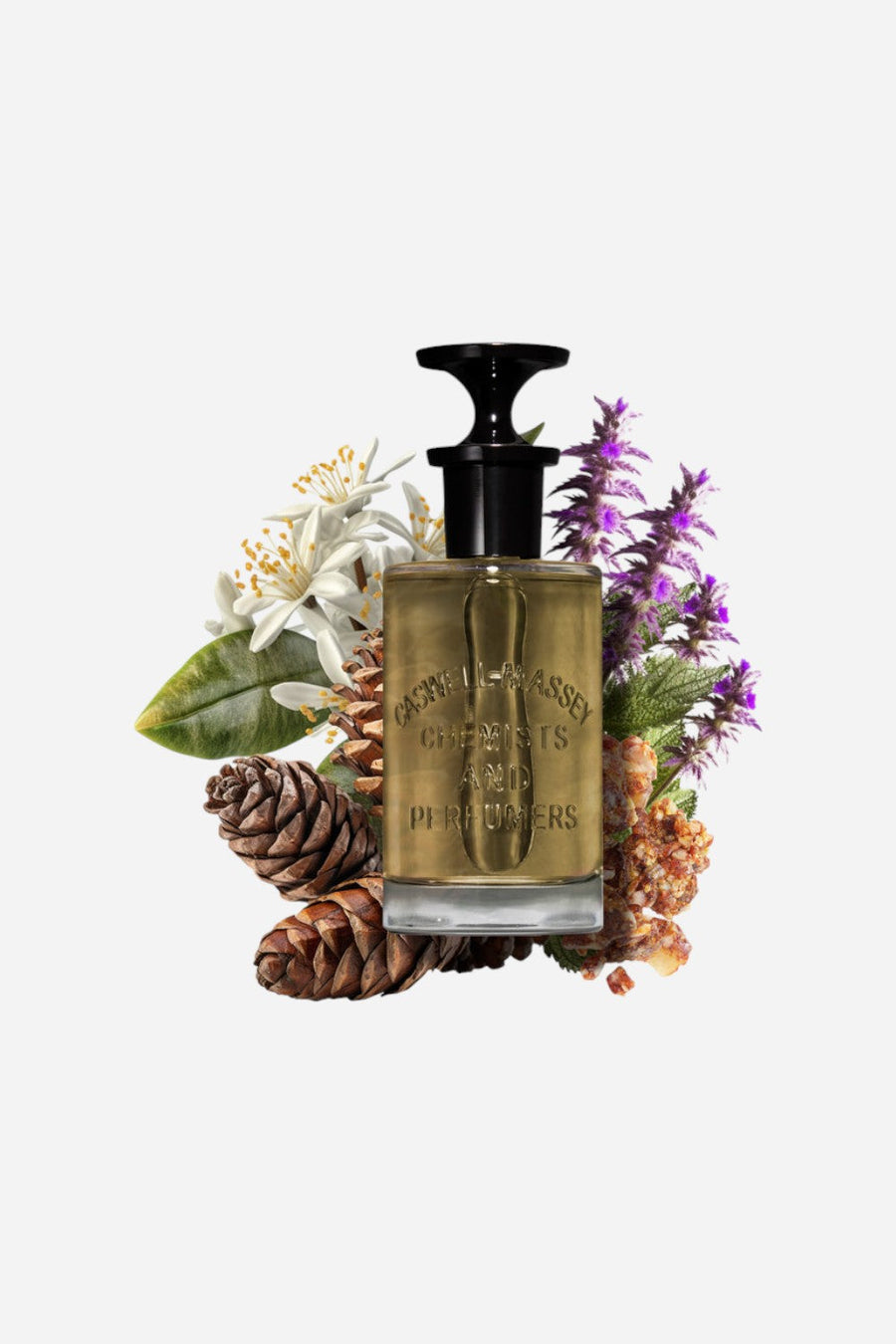 Caswell-Massey Oaire Eau De Parfum - 3.4 Oz. – back view