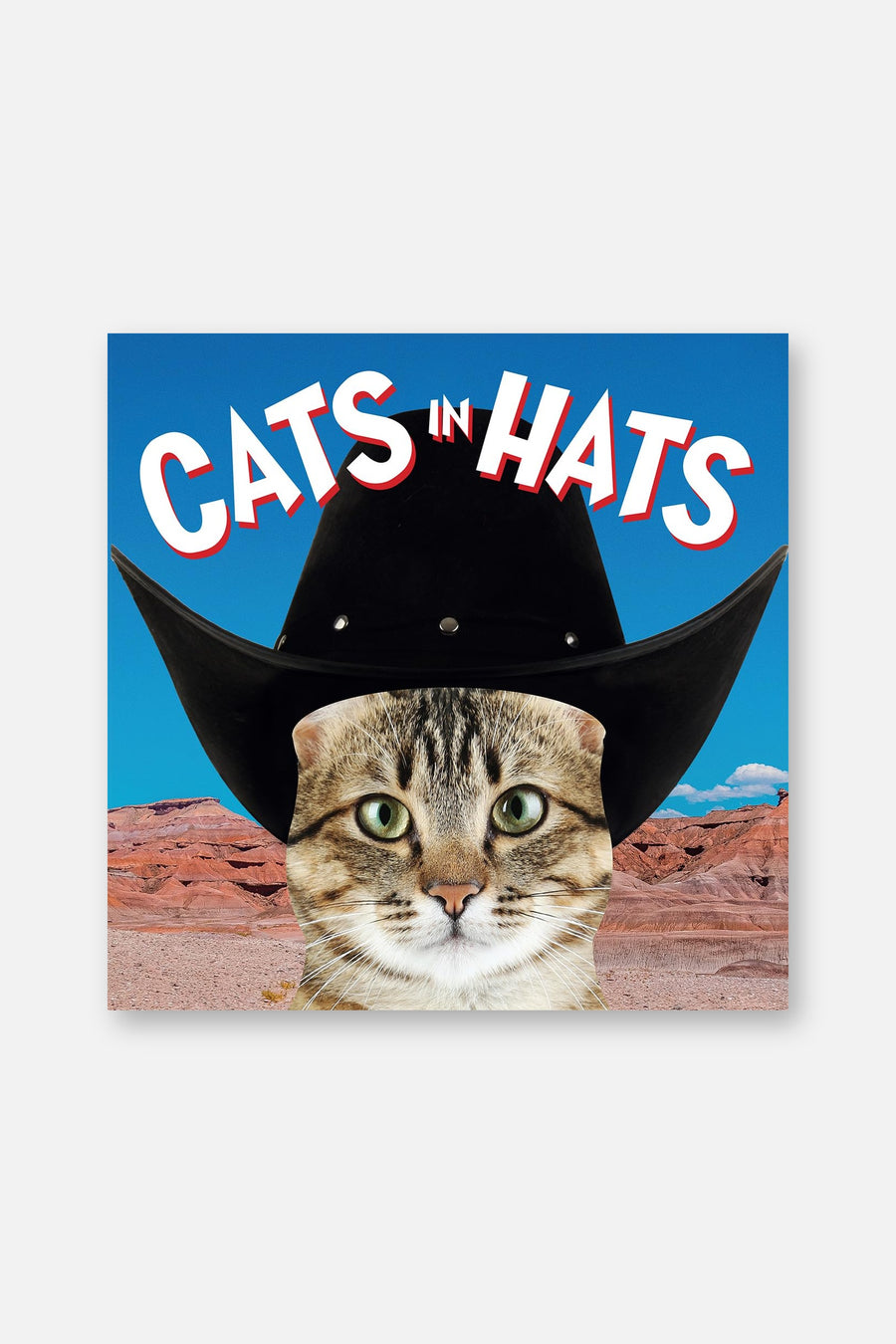 Cats in Hats – front view
