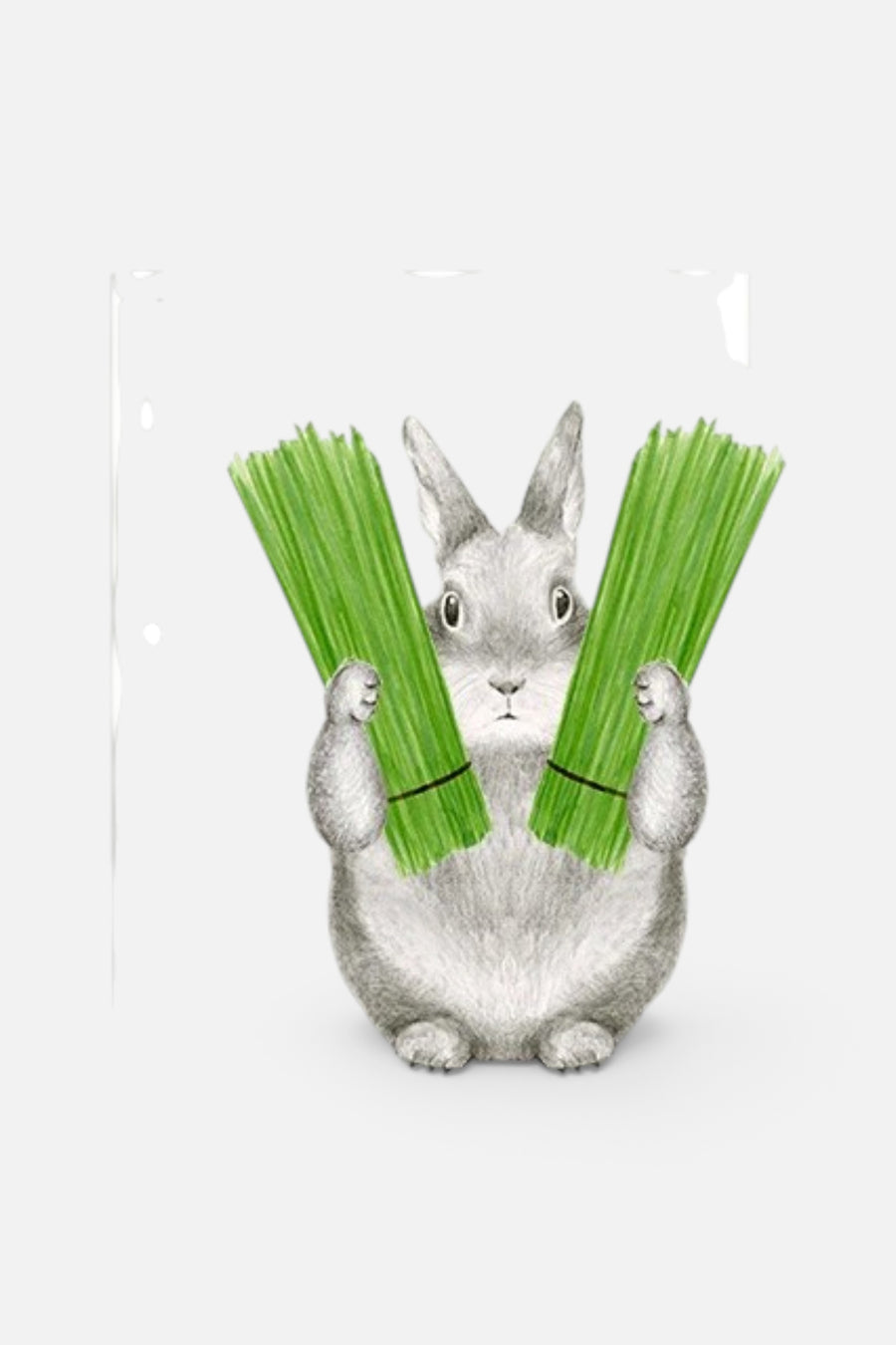 Chive Got The Best Dad Card – front view