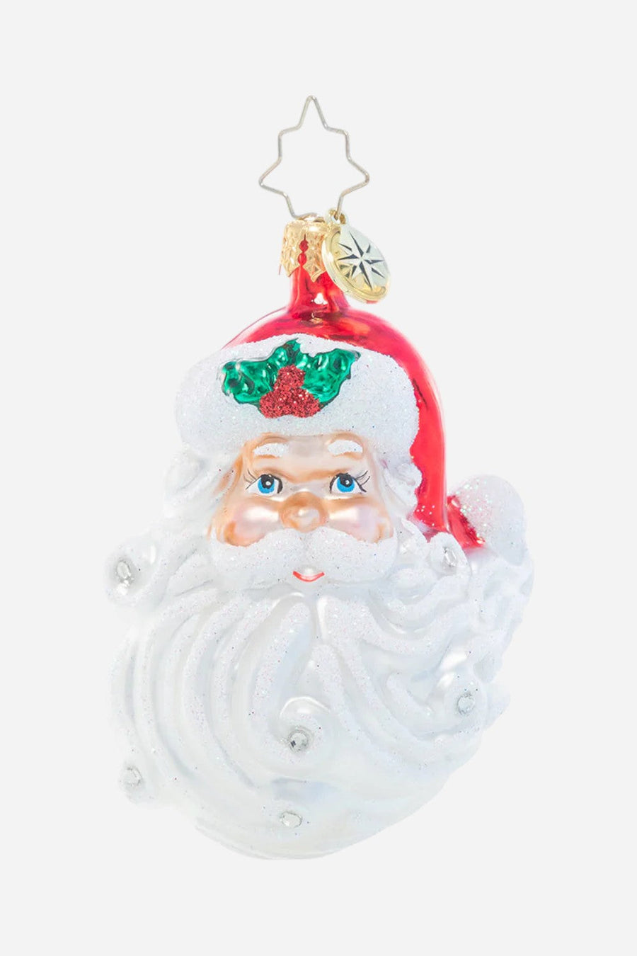 Christopher Radko Jolly With A Dash Of Holly Gem Ornament – front view