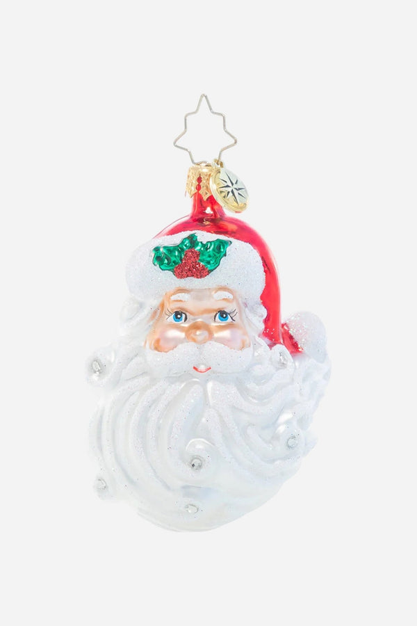 Christopher Radko Jolly With A Dash Of Holly Gem Ornament