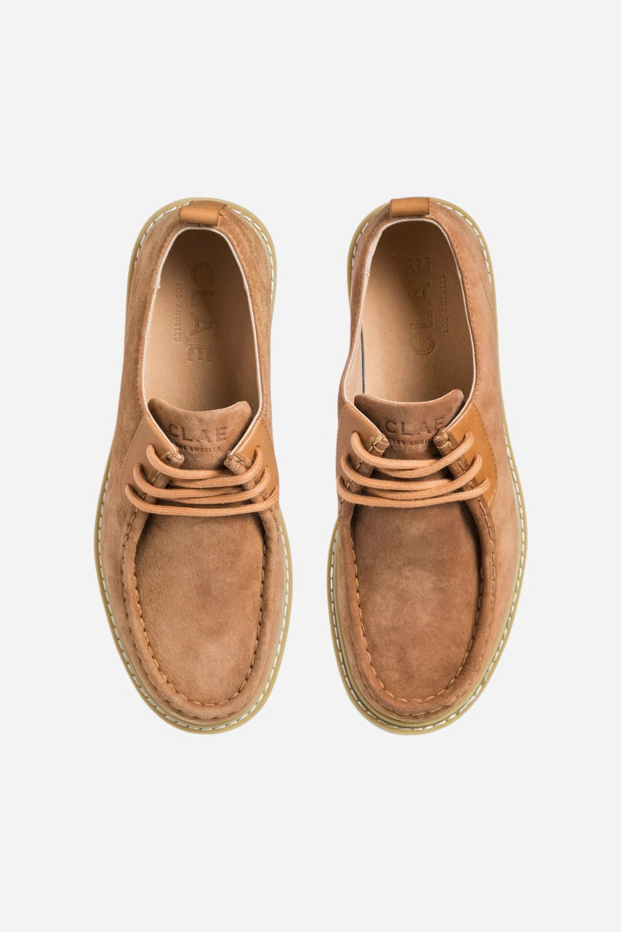 Clae Men's Morrison in Brown Sugar Suede – back view