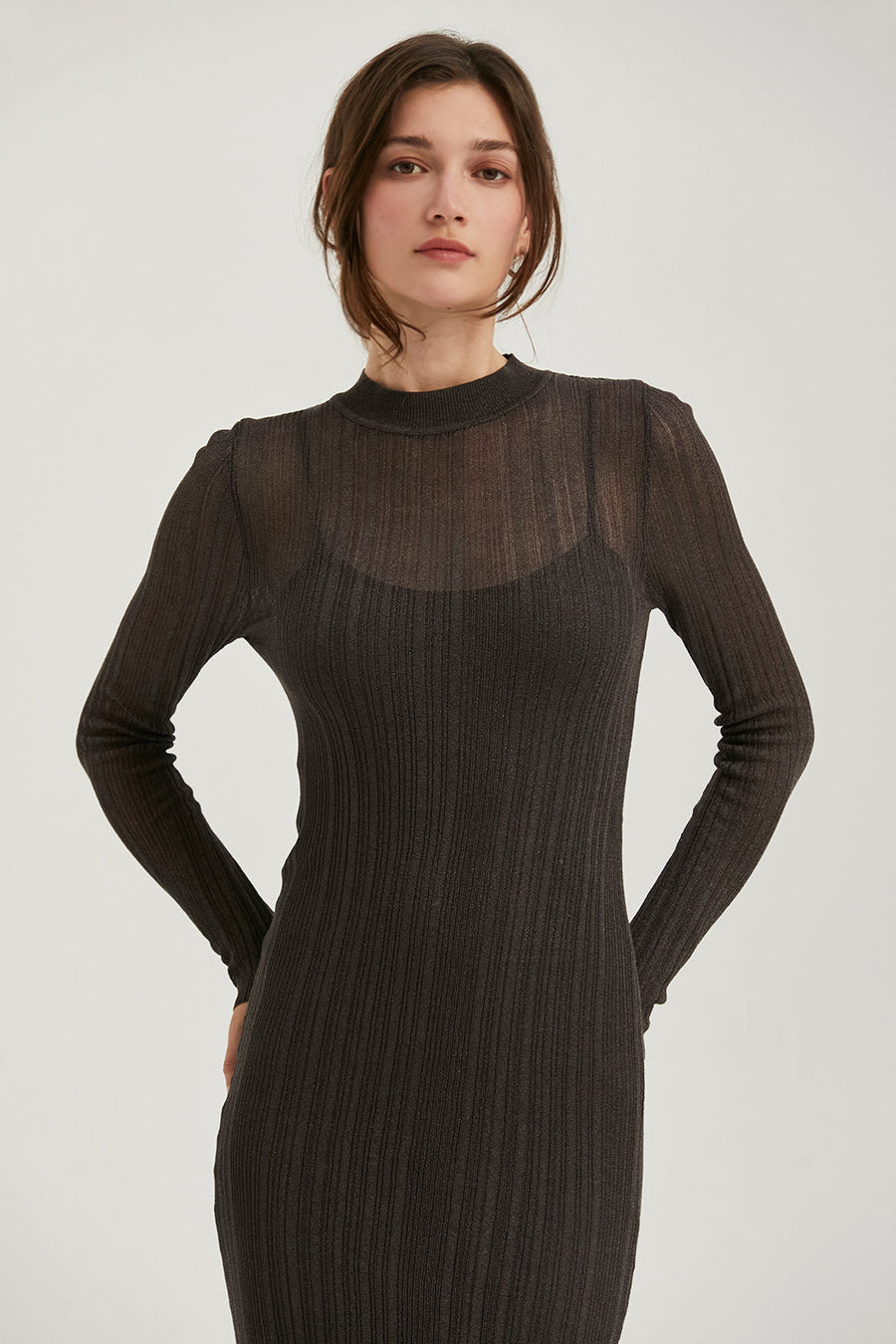 Crescent Amara Mock Neck Maxi Sheer Dress in Black – back view