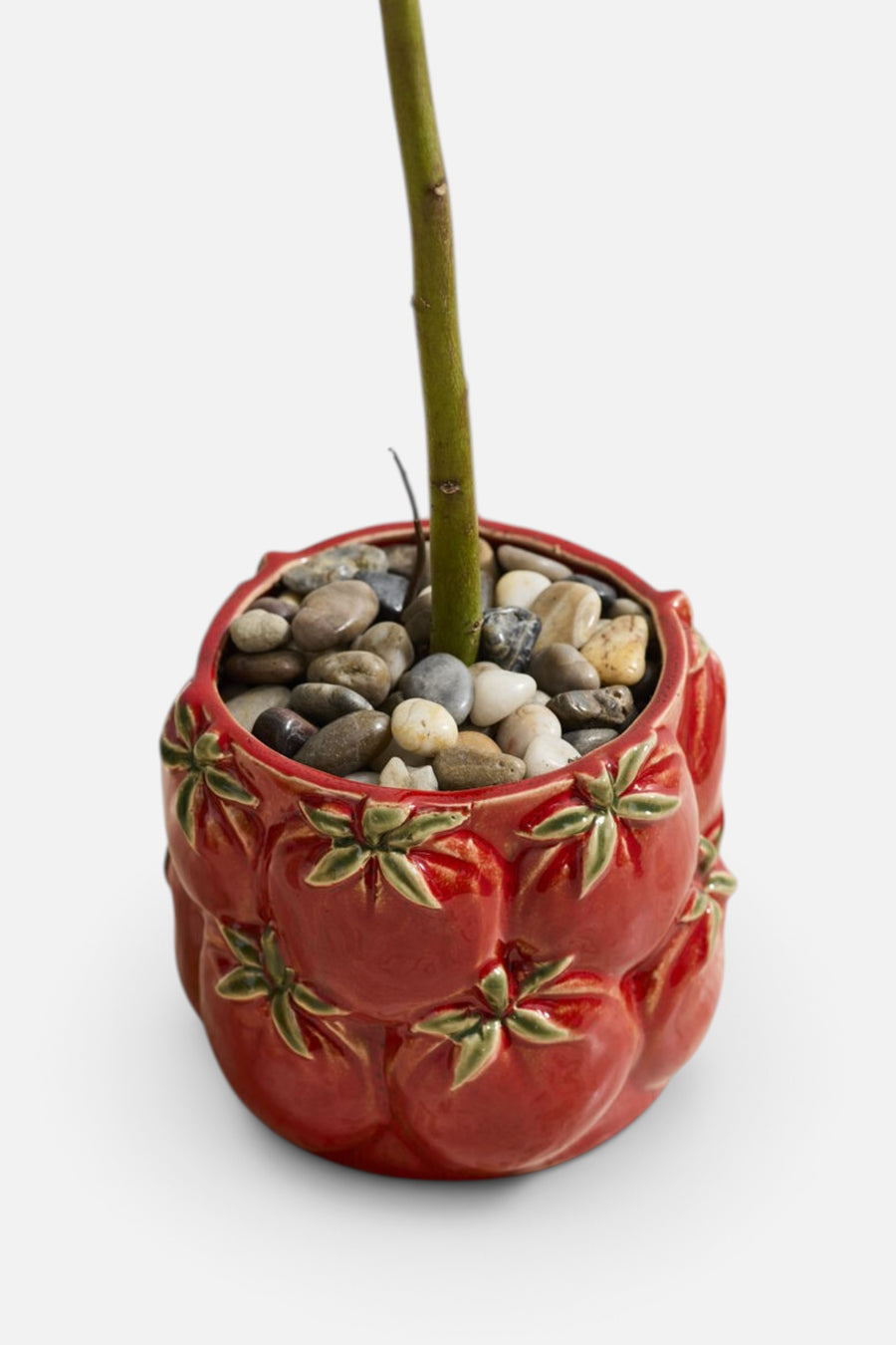 Cucina Tomato Pot – side view