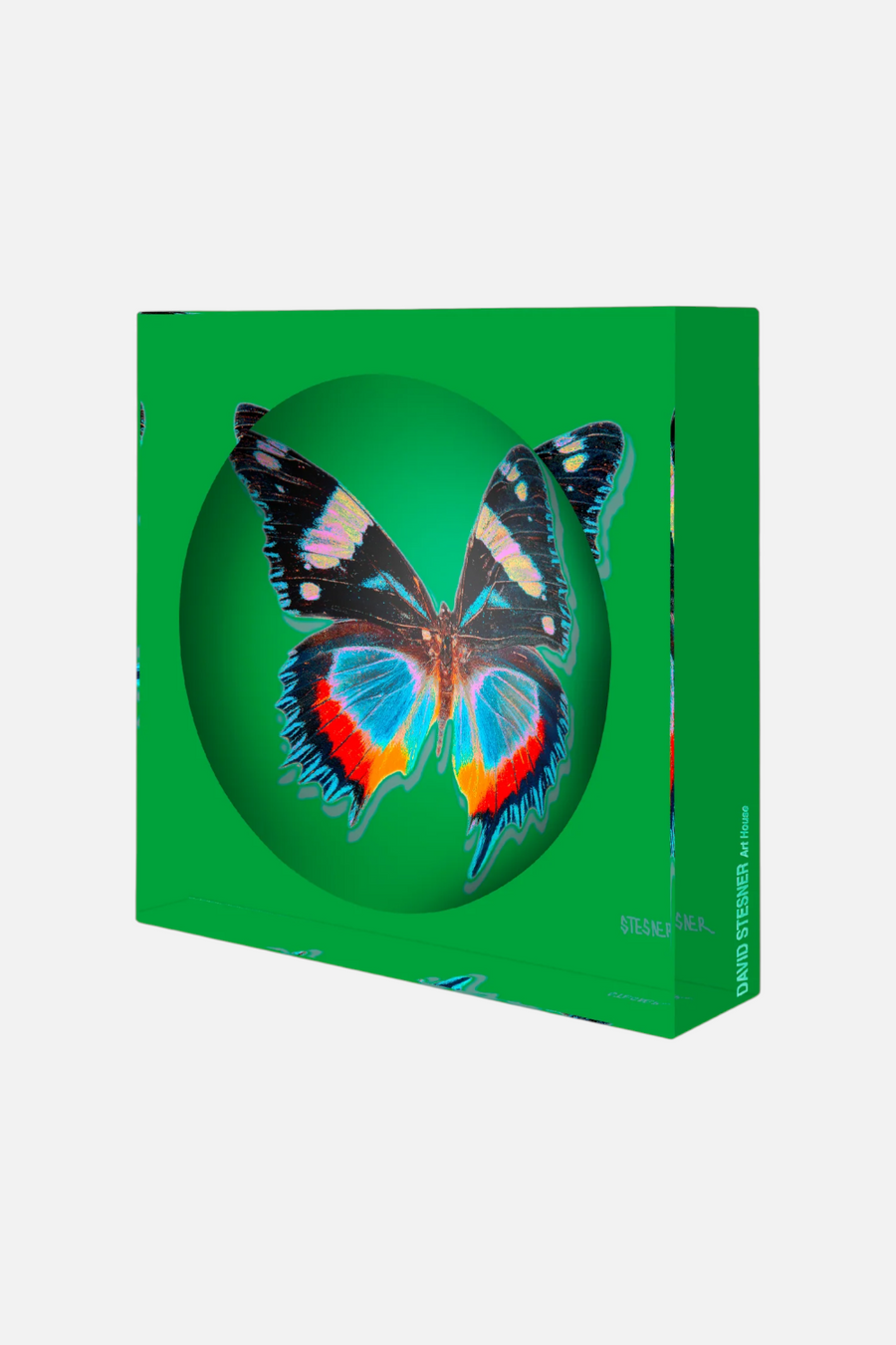 David Stesner Arthouse Emerald Essence Dish – back view