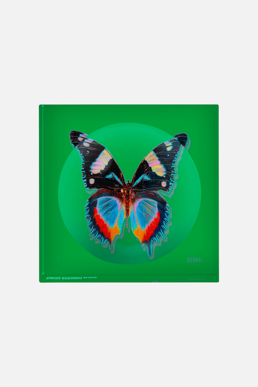 David Stesner Arthouse Emerald Essence Dish – front view